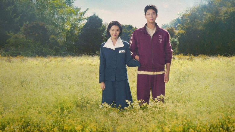 폭싹 속았수다 제주 배경 공식 스틸 — 1950년대 바닷가 마을 풍경
