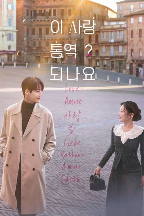 이 사랑 통역 되나요 포스터 — 김선호 고윤정 로맨스 코미디