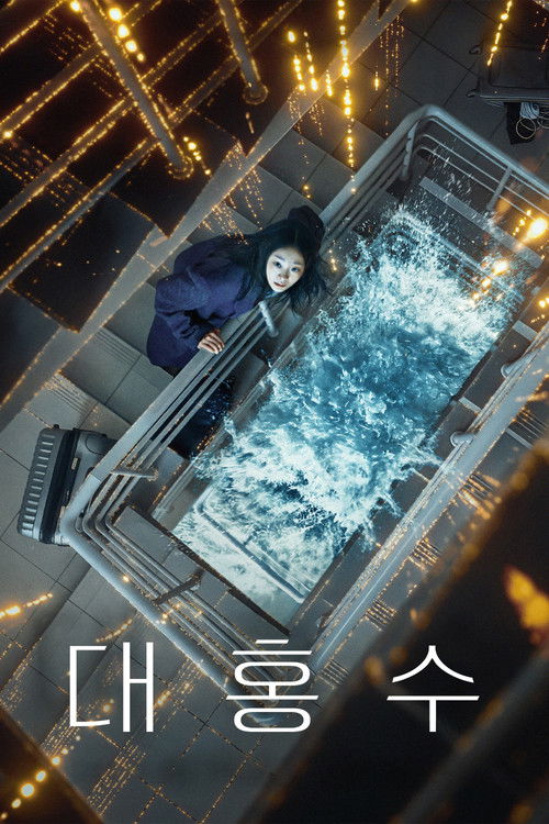 대홍수 공식 포스터 — 김다미·박해수 주연 넷플릭스 재난 영화