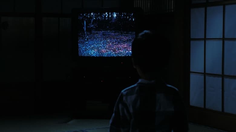 영화 링(1998) 스틸컷 — 저주받은 비디오를 추적하는 장면