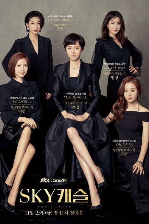 SKY 캐슬 공식 포스터 — 염정아 김서형 윤세아 출연 JTBC 입시 드라마
