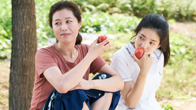 리틀 포레스트 스틸컷 — 사계절 농촌 풍경과 요리 장면