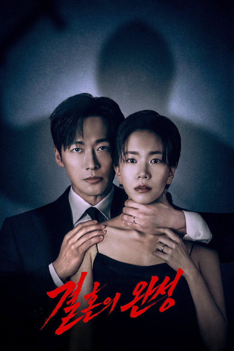 결혼의 완성 공식 포스터 — 남궁민·이설·김대명·이상희