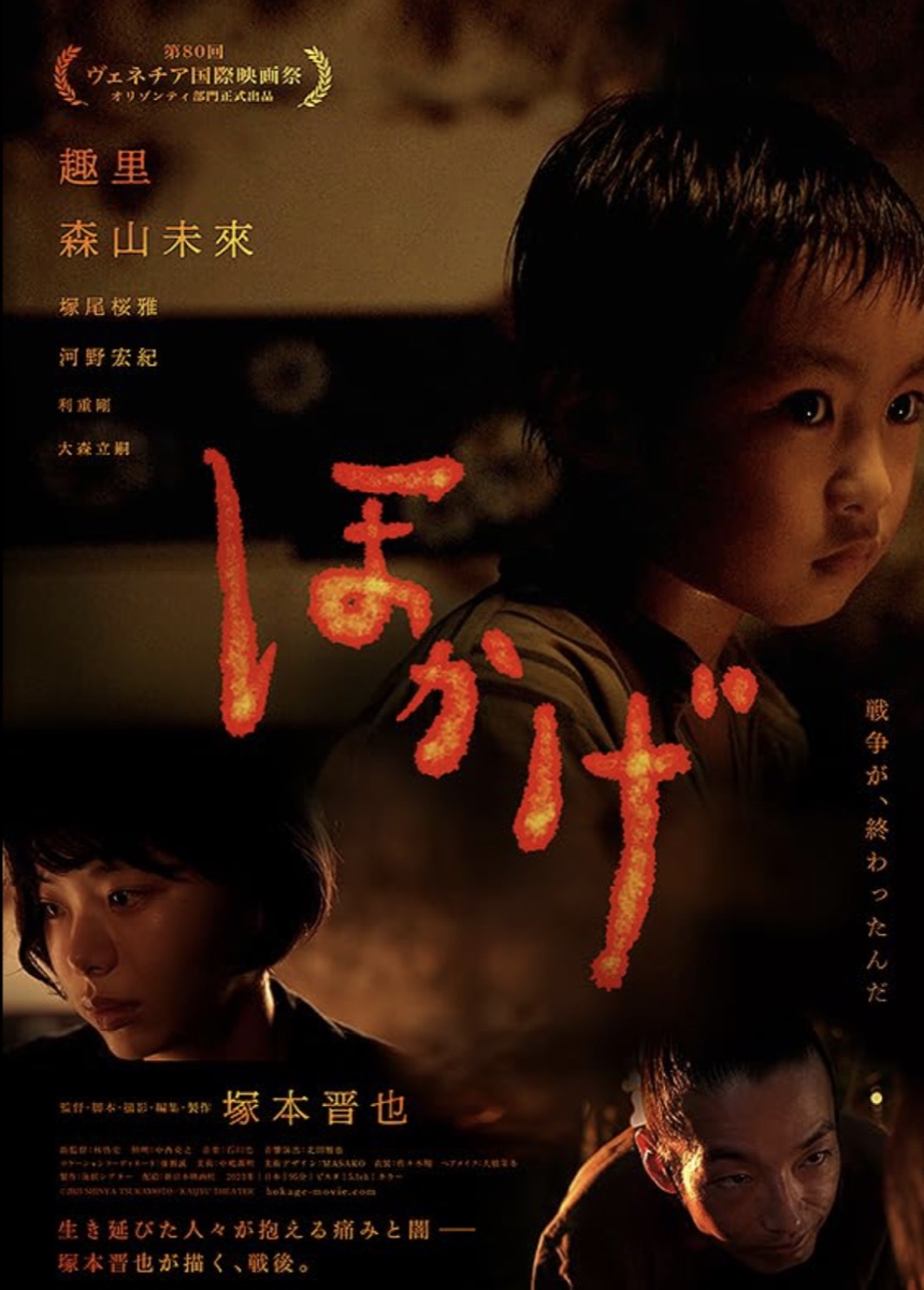 섀도우 오브 파이어 정보