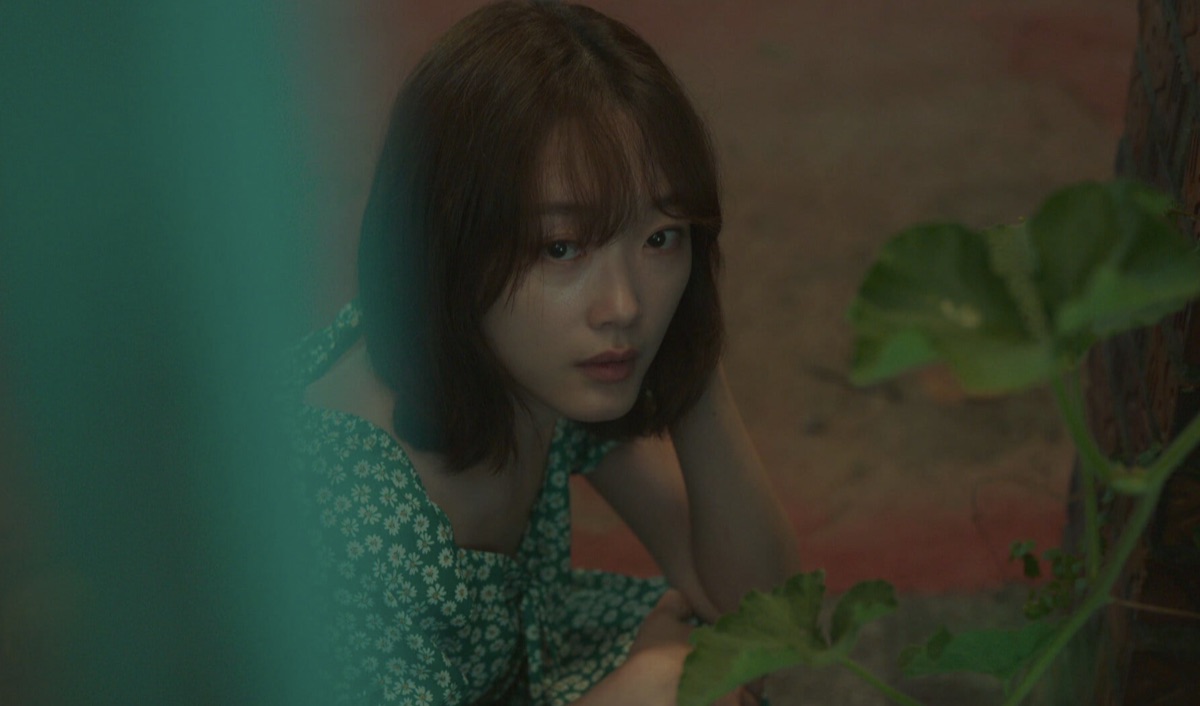 미스터 플랑크톤 뜻 의미 해석