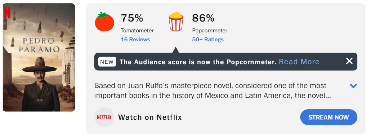 넷플릭스 멕시코 영화 추천 페드로 파라모 제목 뜻과 의미 해석 평점 관람평 후기