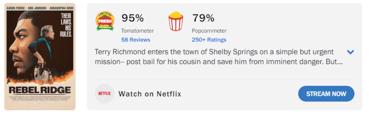 넷플릭스 영화 레블리지