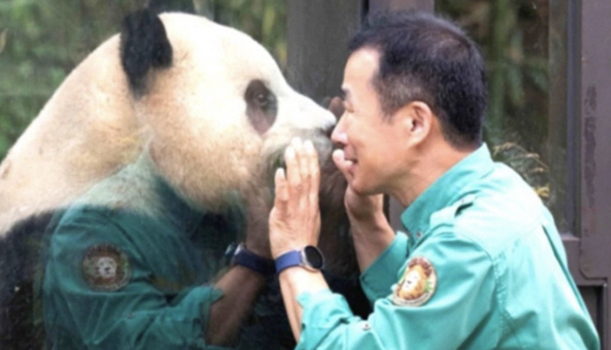 안녕, 할부지 푸바오