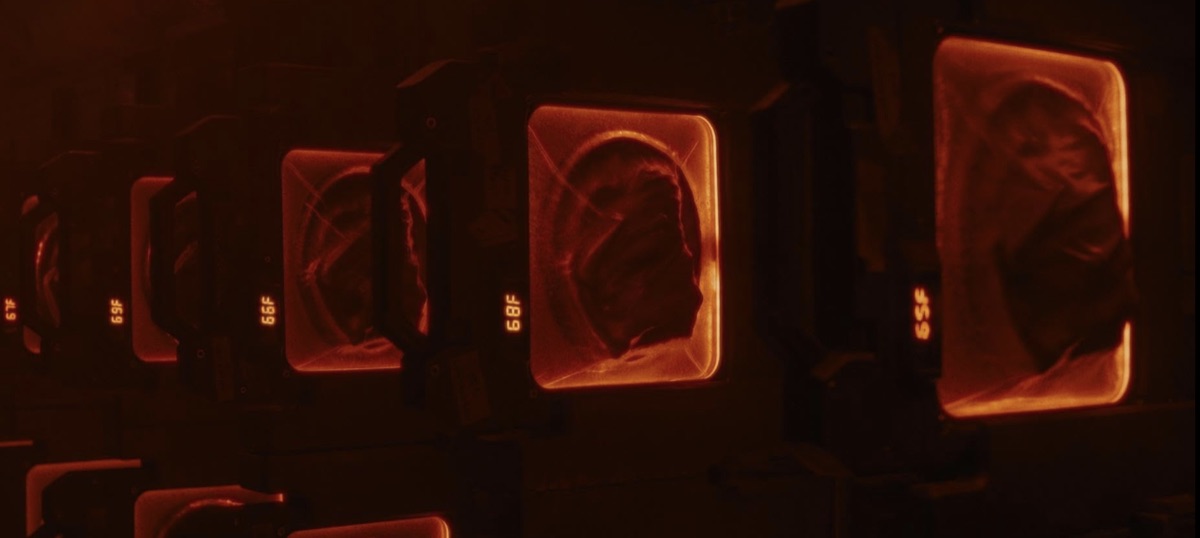 에일리언: 로물루스