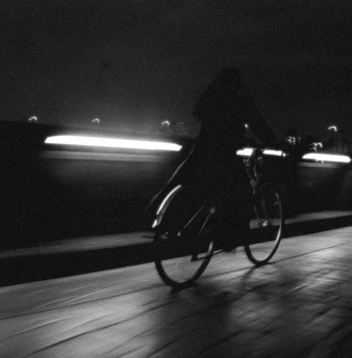 영화 퍼펙트 데이즈