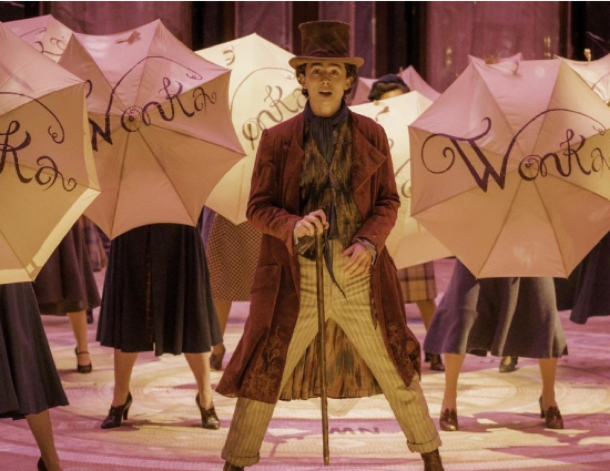 영화 웡카 티모시 샬라메