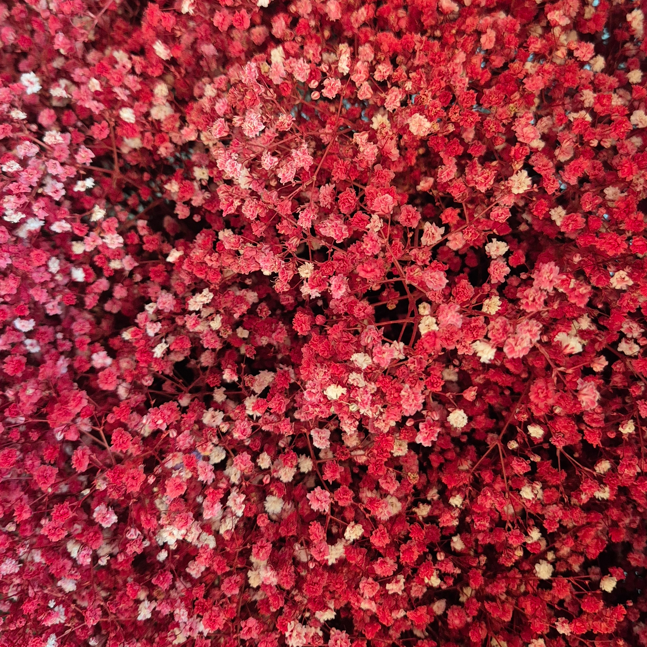 지금 불륜이 문제가 아닙니다 쿠팡플레이 드라마