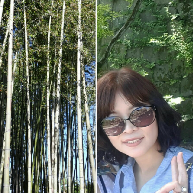 줄리 앤 줄리아 Julie and Julia 2009 영화 포스터 메릴 스트립 에이미 아담스