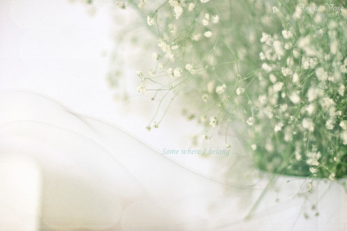 다스 몰 섀도우 로드 시즌1 9 10화 5월 4일 May the 4th 디즈니플러스 스타워즈 애니메이션 황금연휴